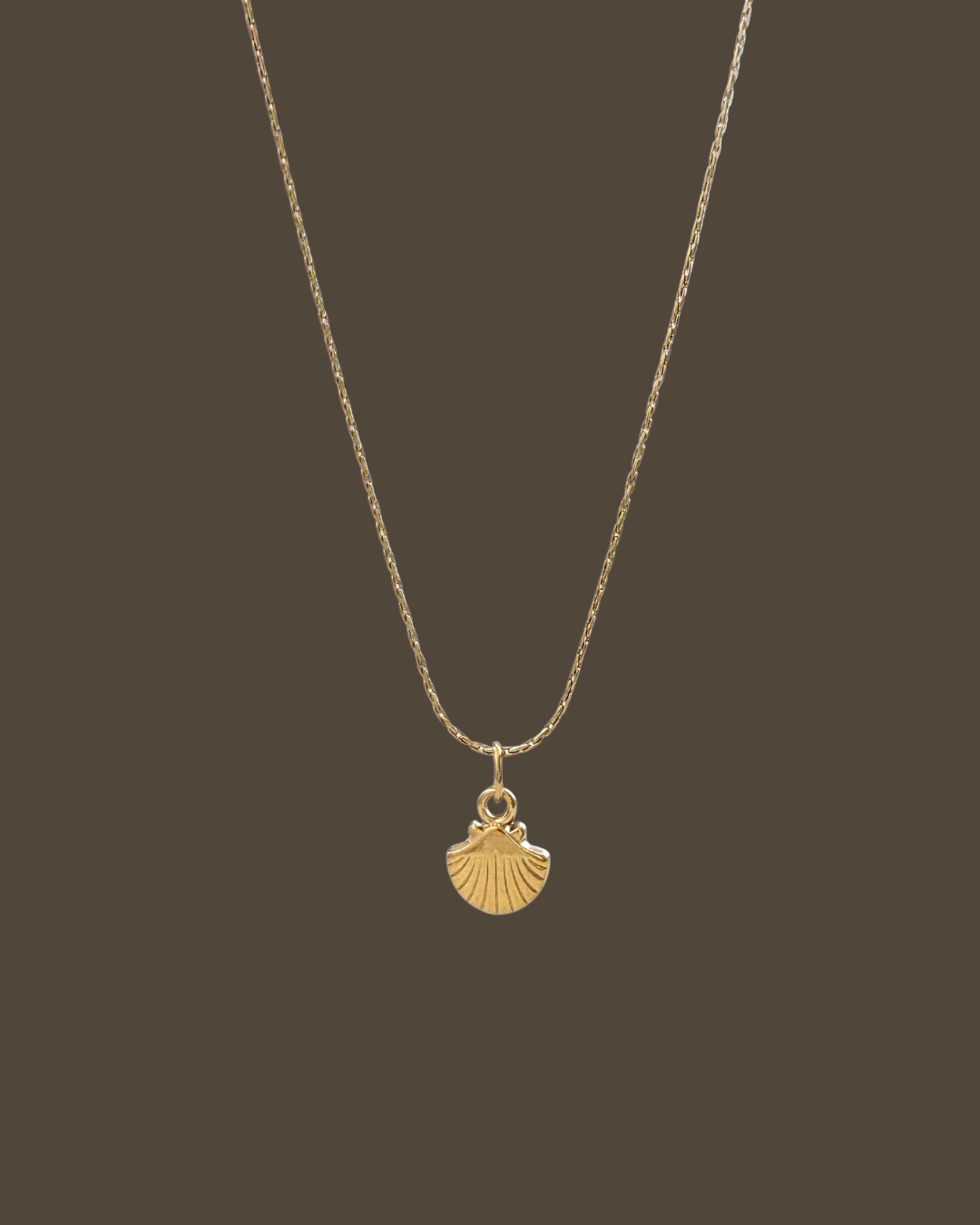 Ola Shell Hayseed Chain Necklace