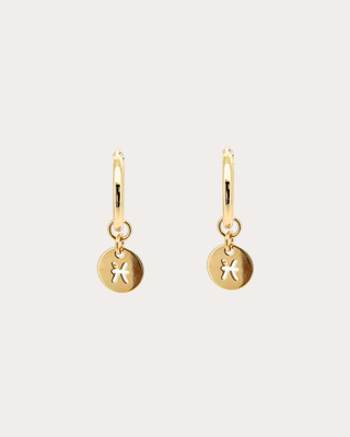 Pisces Zodiac Disc Endless Hoops - Gold Filled