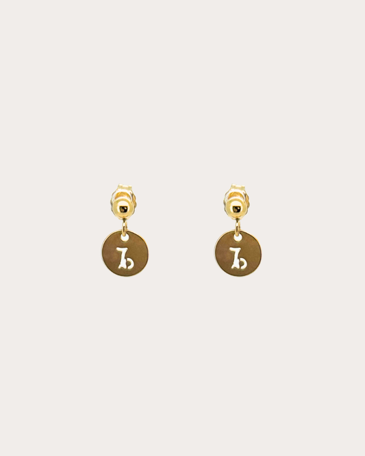 Capricorn Zodiac Disc Dangle Studs