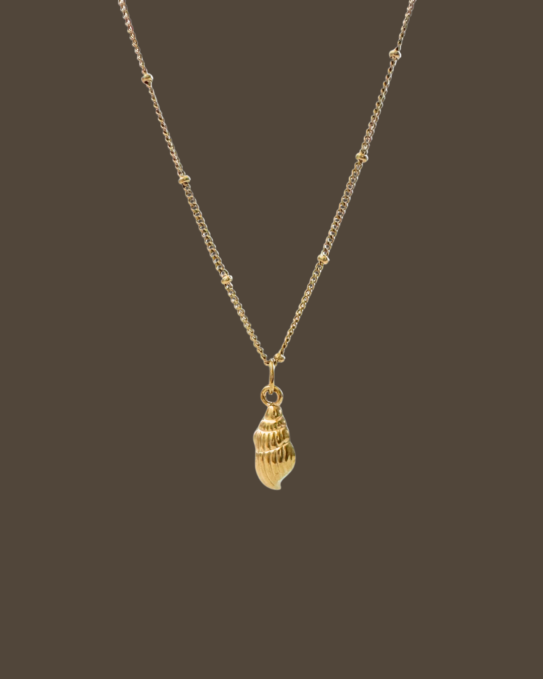 Carly Shell Satellite Chain Necklace