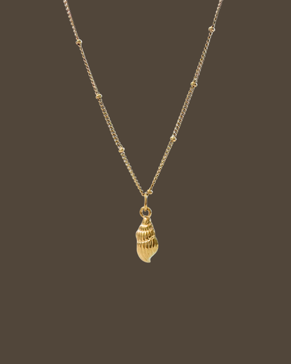 Carly Shell Satellite Chain Necklace