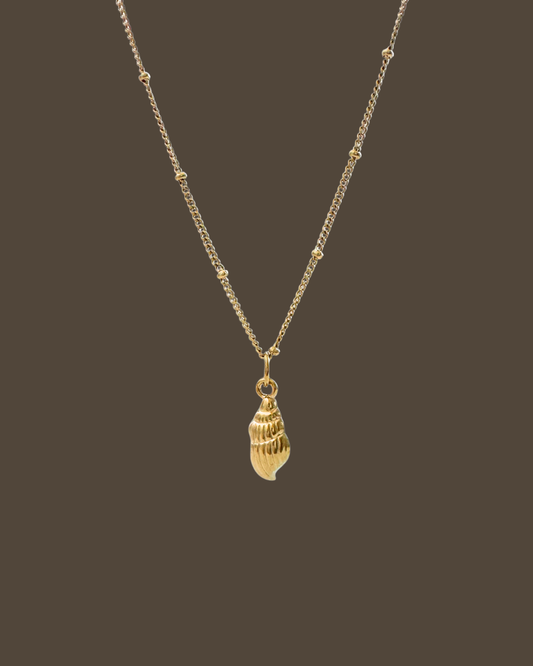 Carly Shell Satellite Chain Necklace