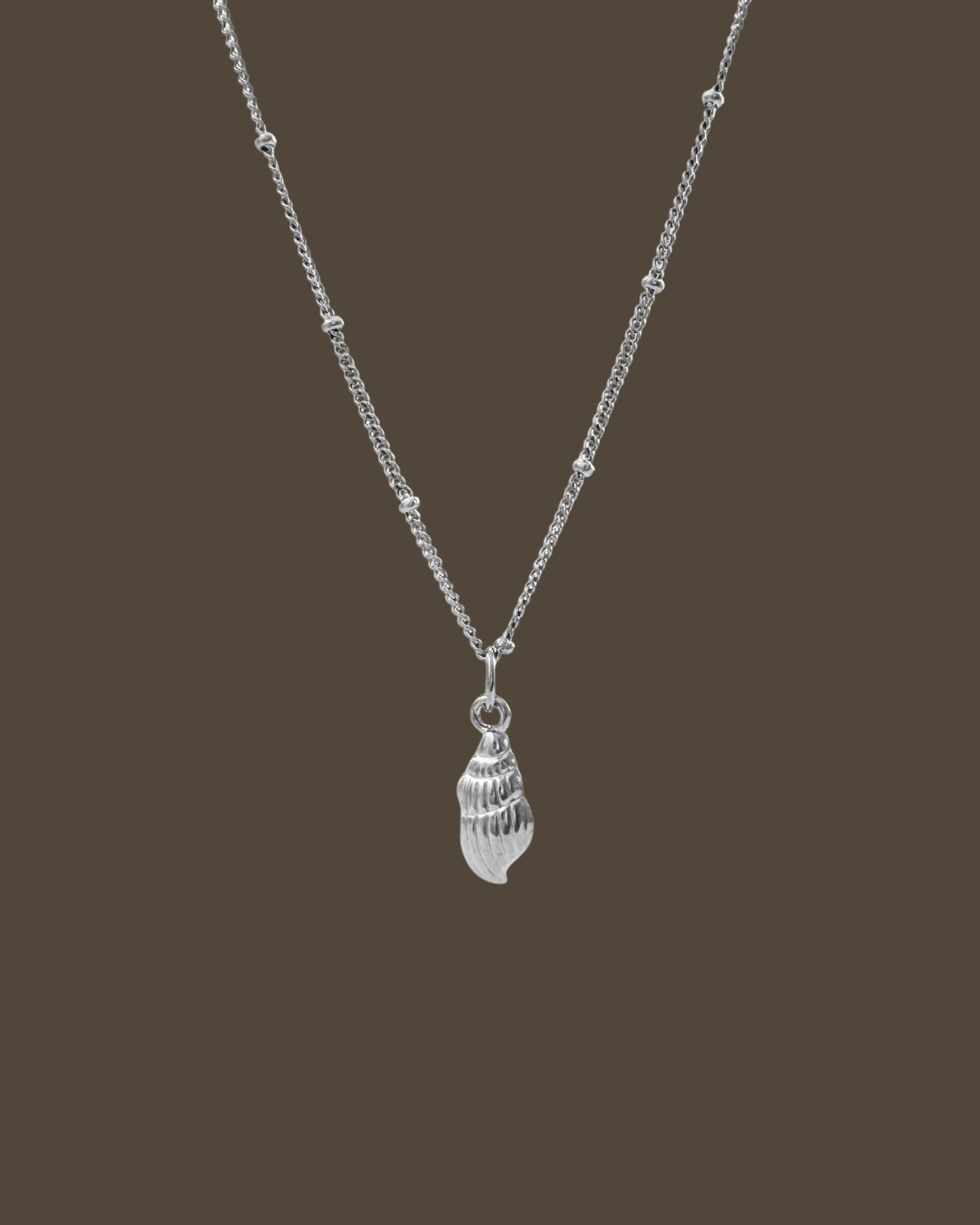 Carly Shell Satellite Chain Necklace