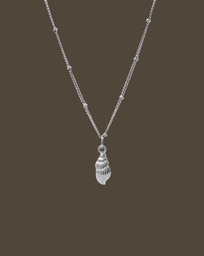 Carly Shell Satellite Chain Necklace