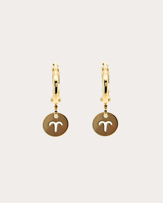 Aries Zodiac Disc Huggie Earrings - Gold Filled