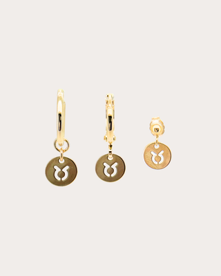 Taurus Zodiac Disc Earring Set - Gold Filled