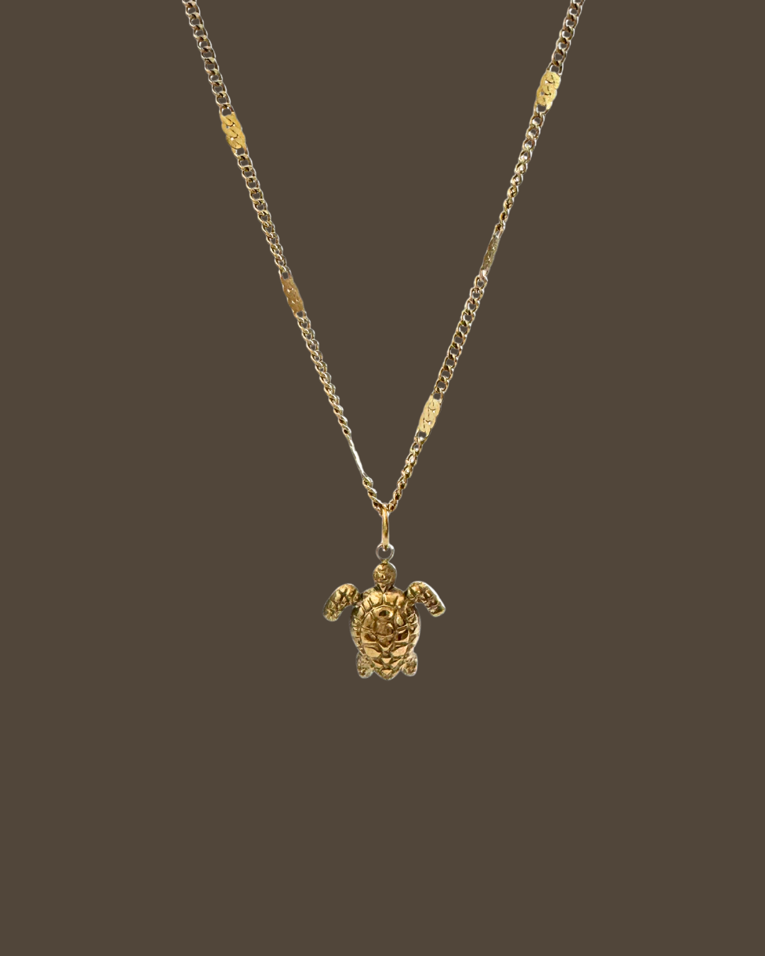 Cassie Turtle Flat Curb Chain Necklace