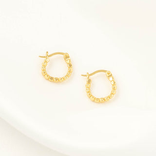 Arielle Hoops